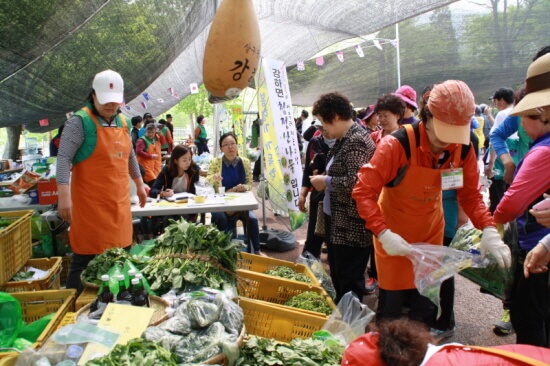 용평 용문산 산나물축제